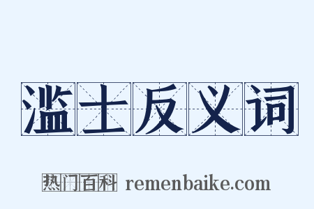 滥士反义词是什么意思的图片